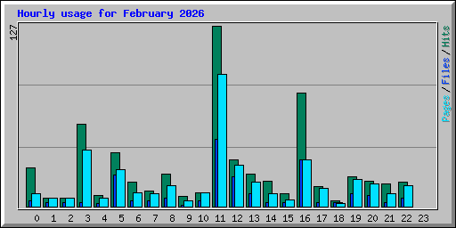 Hourly usage for February 2026