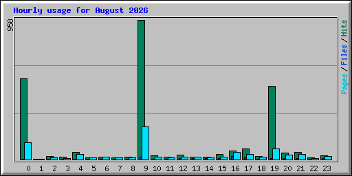 Hourly usage for August 2026